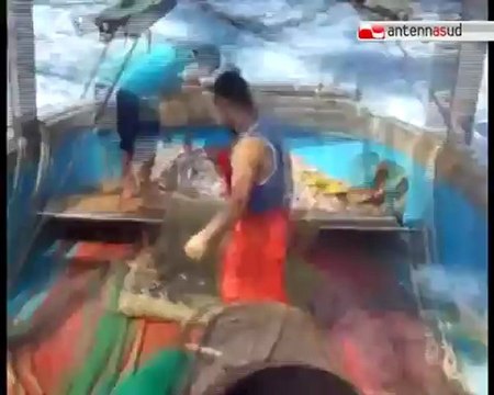 TG 06.08.12 Pesca: da oggi fermo biologico sul mare Adriatico. A tavola solo cozze e vongole