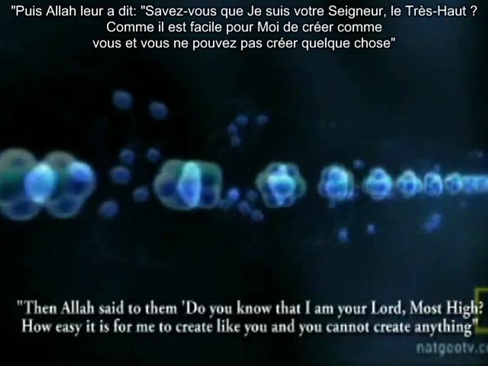 E.115 - L'Antéchrist Dajjal Sera Un Reptilien Métamorphe S.2