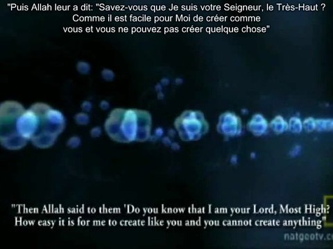 E.115 - L'Antéchrist Dajjal Sera Un Reptilien Métamorphe S.2