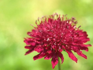 Rrgu - ZEDEK Mouloud - Album 2012