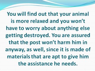 Getting That Itch Out Of The Way