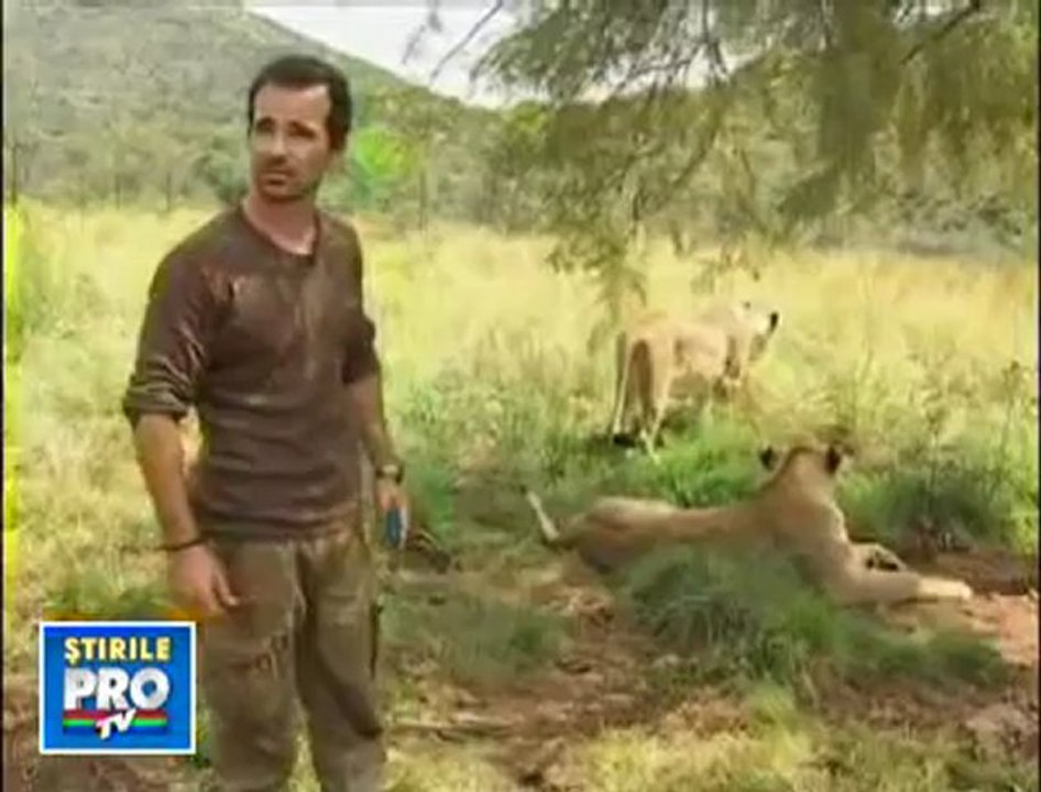 38 aslan vs adam -