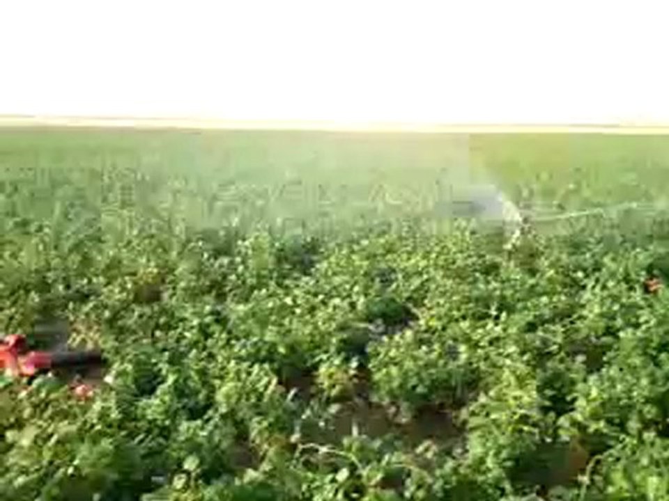 Fasulye Sulama İşi [2012] [Part 3]...!!!