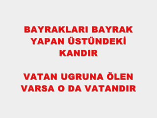 Vatan Evlatları