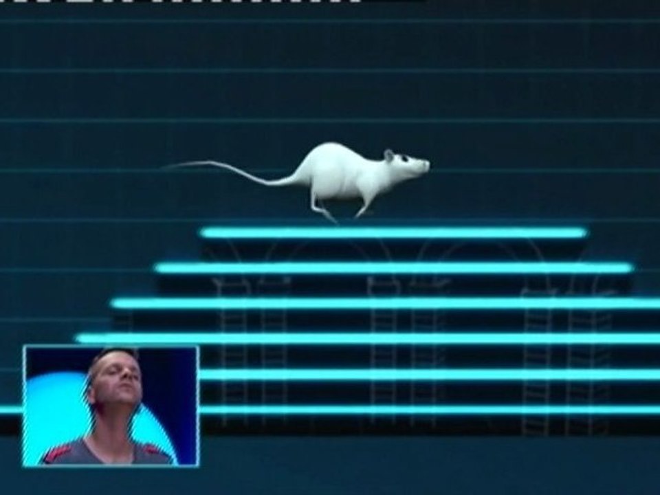 Fort Boyard 2012 : Cellule Interactive (Parcours du rat)