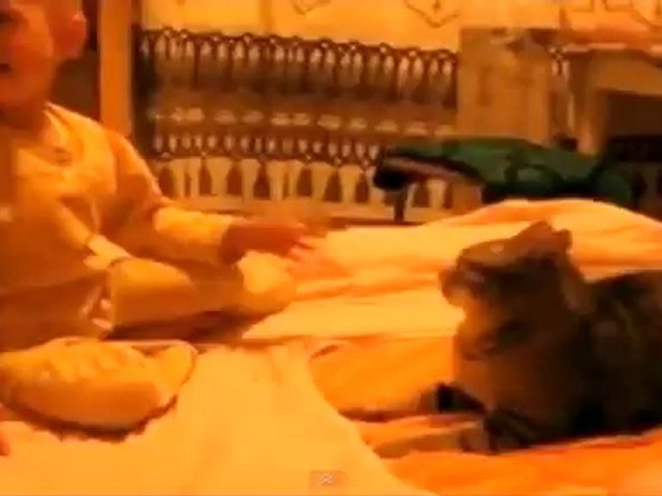 Il ne faut pas jouer avec un chat...