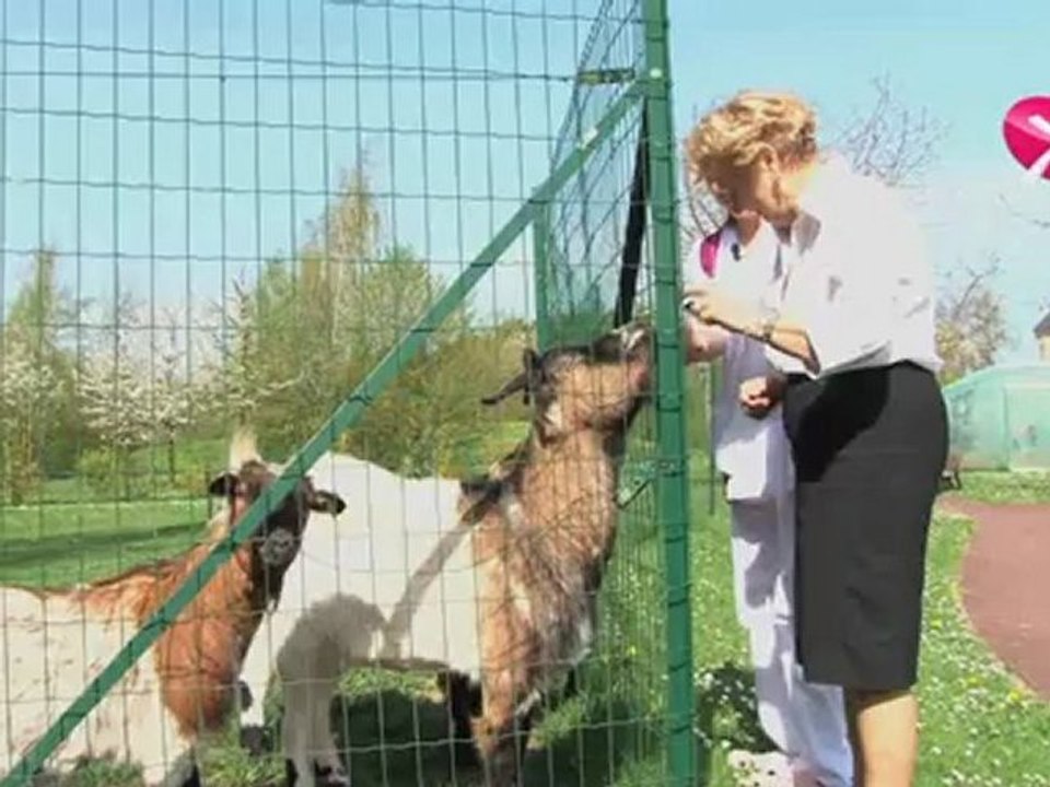 La préparation au concours d'entrée en école d'Aide Soignante