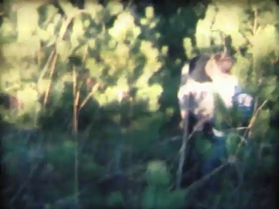 Treziers 1987