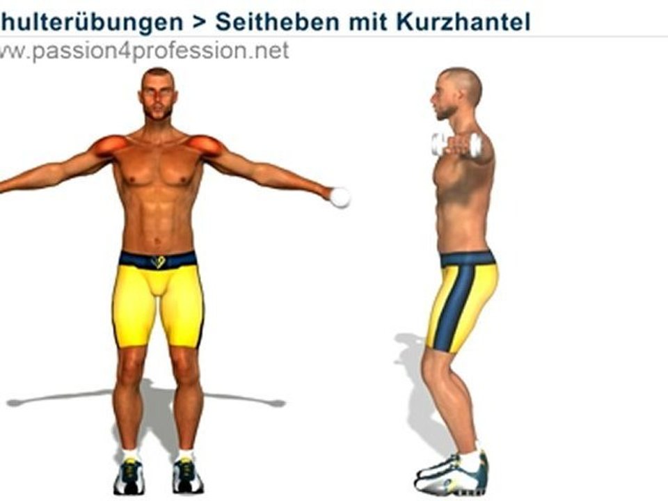 Seitheben mit Kurzhantel (Seitenheben)