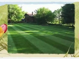 TNT Home & Yard Care - (253) 880-5060