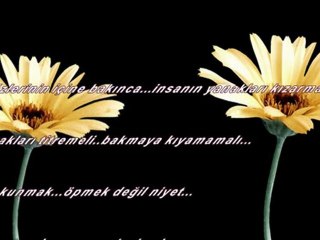 Safiye Ayla -- Hasretle bu şeb gâh uyudum gâhi uyandım