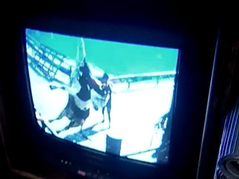 The.Witness.A.Tribe.Of.Heart.Documentary.(2004.)