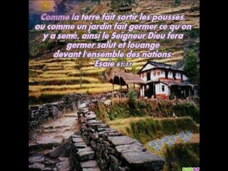 Seigneur attire mon coeur