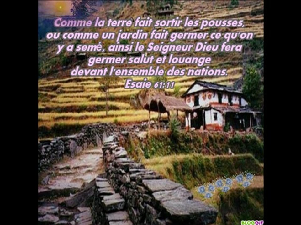Seigneur attire mon coeur