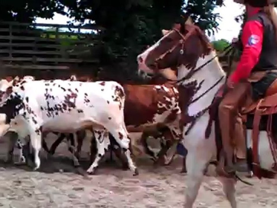 Festival western W.T.A. Kergroas Lanmerin
