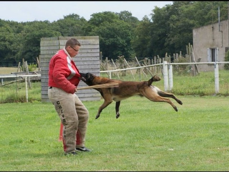 Ring concours La Chapelle des Marais aout 2012