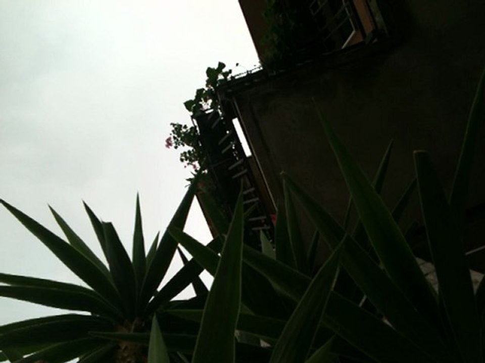 IMG_0363