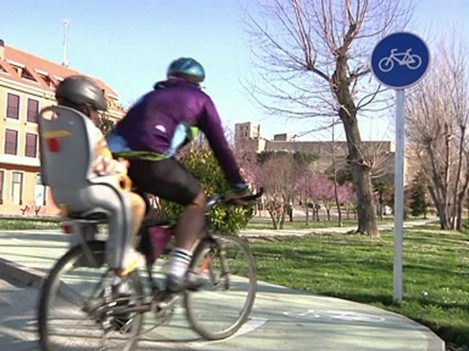 07 Seguridad Vial prioridad de paso de ciclistas y animales