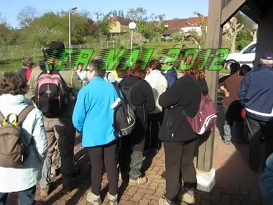 Marche du muguet