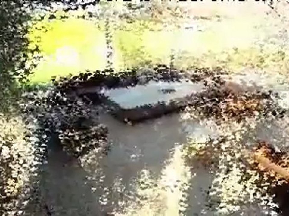 Temporary Kitchens 123 Dishwasher Trailer Rentals TEXAS 1 800 205 6106 - YouTube