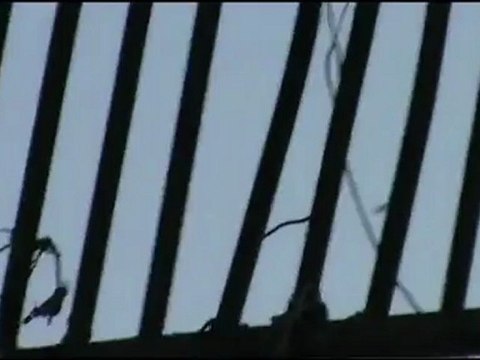 Syria فري برس حلب 5 د طائرة حربية تقوم بقصف المدينة (واااااضح) 7-8-2012