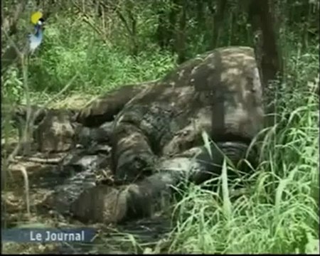 GRAND JTV TCHAD FRANÇAIS DU MARDI 07 AOUT 2012 SUR TOL