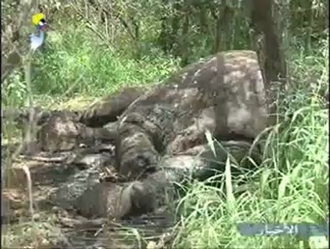 GRAND JTV TCHAD ARABE LOCAL DU 07 AOUT 2012 SUR TOL