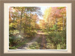 New Age Music - Landscapes