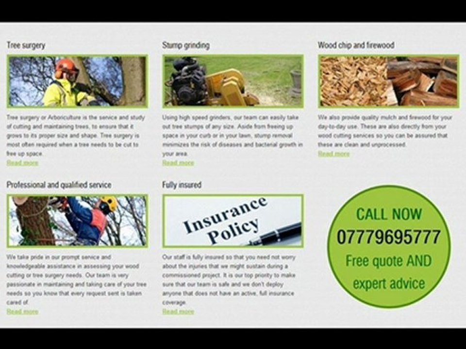Tree surgeon Cheshire