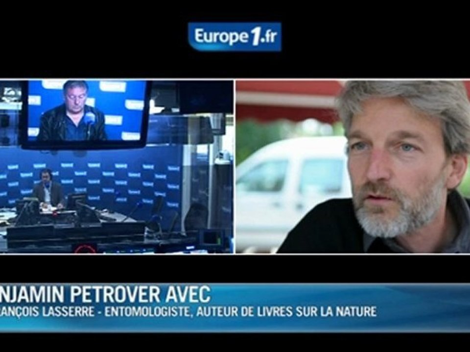 Le carnaval des animaux