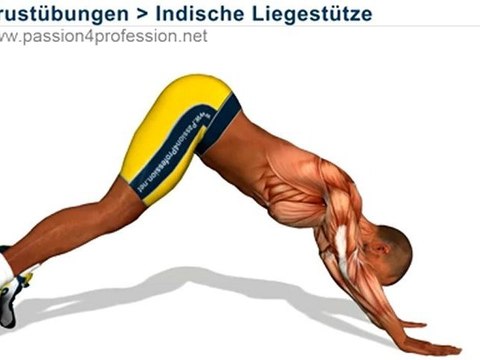 Indische Liegestütze zu trainieren Trizeps Schultern und Brust