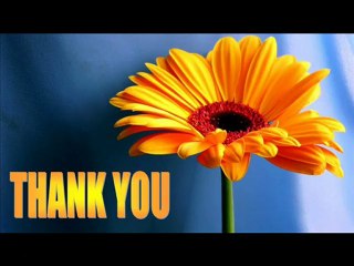 Saffron Designer Concept: A Unique Furniture Showroom