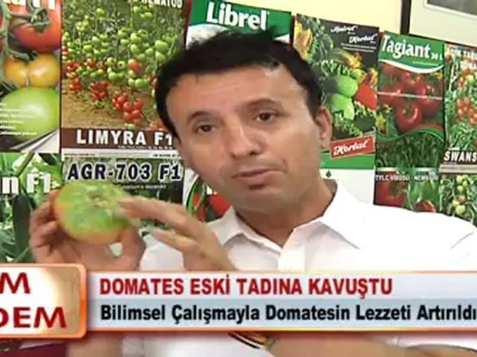DOMATES ESKİ TADINA KAVUŞTU
