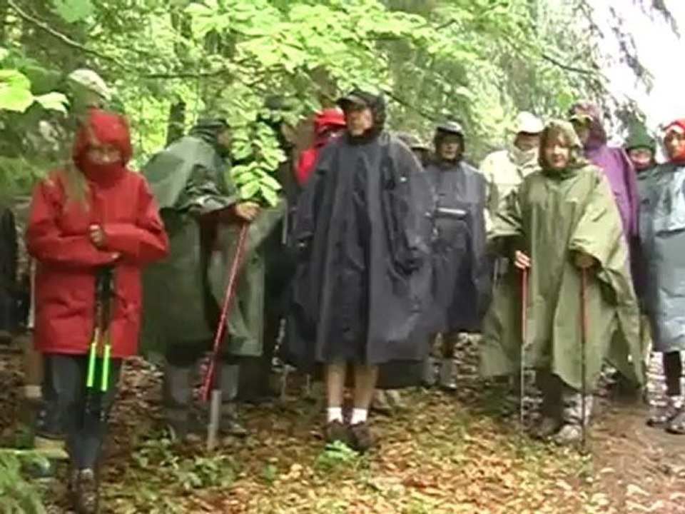 Jurassique parc
