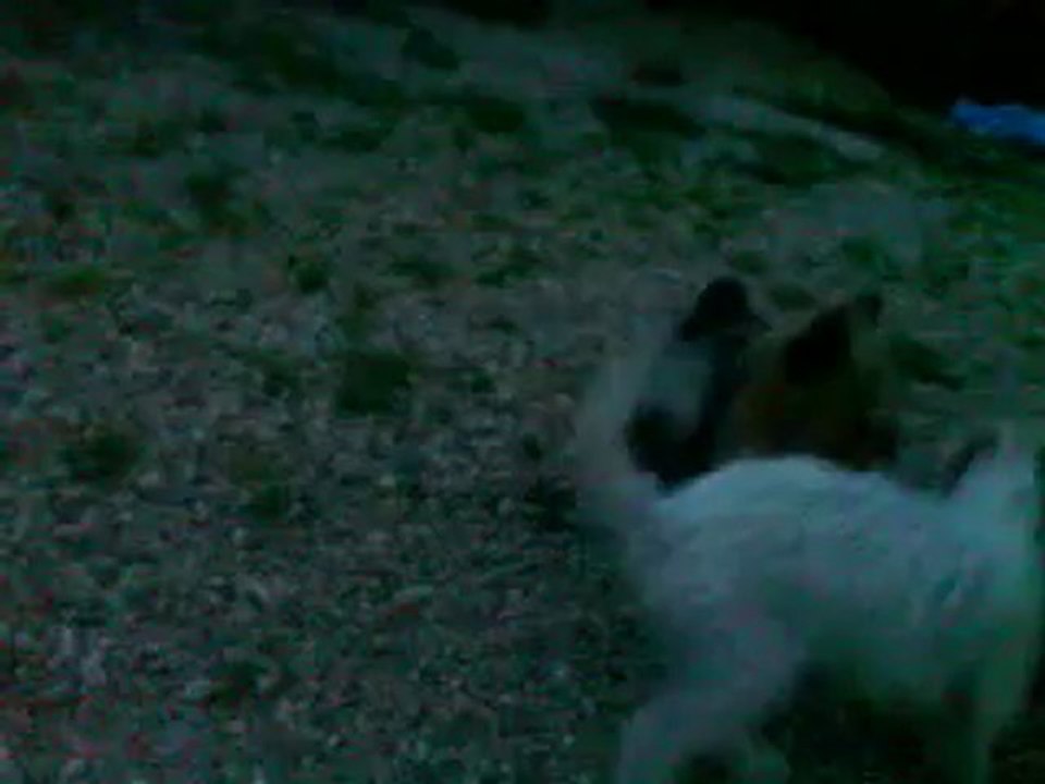 Vidéo0035