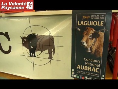 Des vaches Aubrac au Kazakhstan