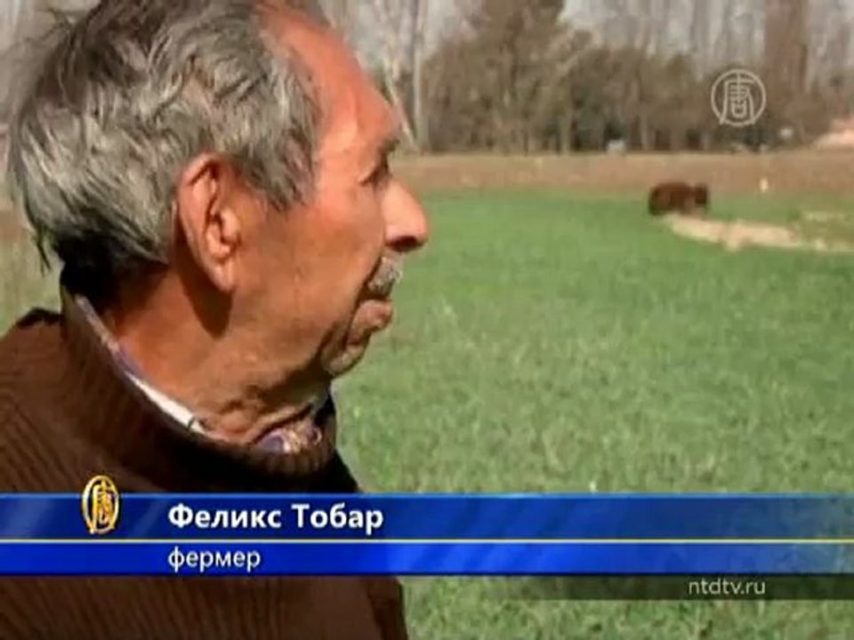 Сельское хозяйство в Чили страдает от засухи