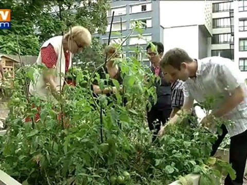 Les jardins partagés : des coins de campagne dans la ville