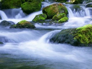 Nikon D800 Instructional Guide By Quickpro Camera Guides