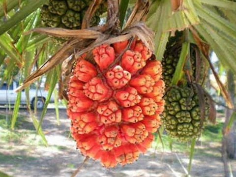 Apple iPad 3 4G 32Gb Best Sale Black Friday