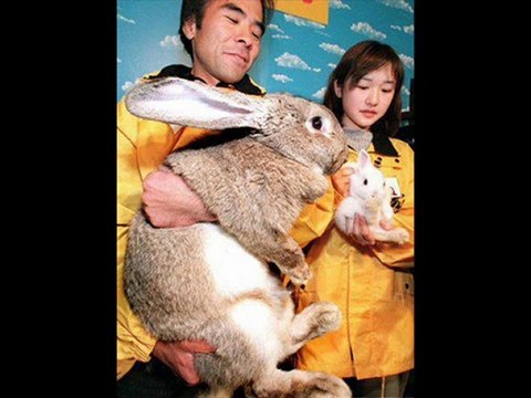 Samsung Galaxy Tab 7.0 Plus 32GB Best Sale Black Friday