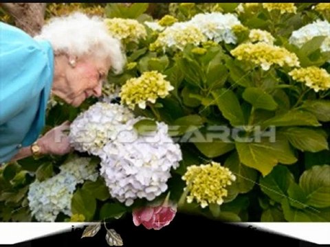 Tu verras,tu seras bien J.F(*Ode)