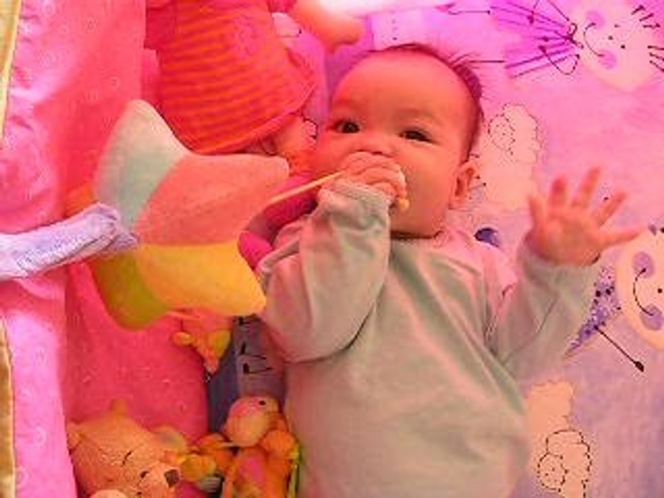 Elea le 29 septembre