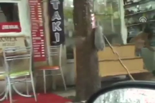 Sinop'ta etkili yağış