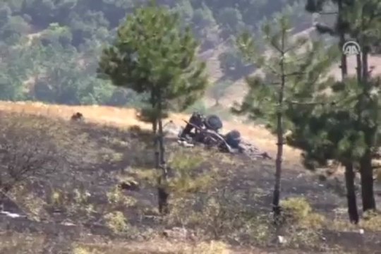 Dinamit yüklü kamyon ormanı yaktı