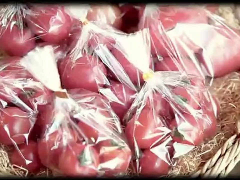 『エビ中の永遠に中学生（仮）』#19