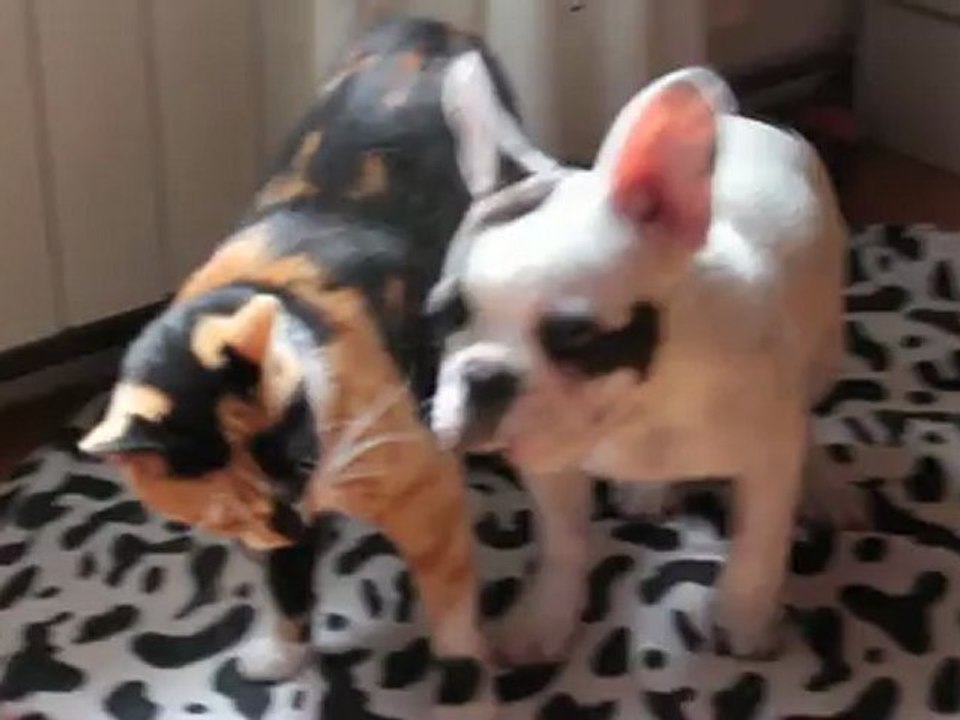 Olga embrasse Colette 7 aout 2012