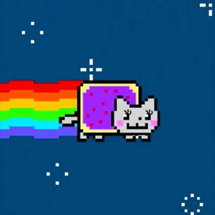 Miss Nyan Cat