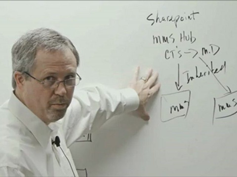 Global Taxonomy