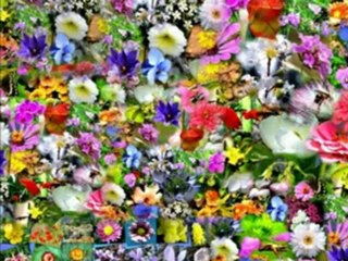 DAILY IN  CHRIST - 18 - love